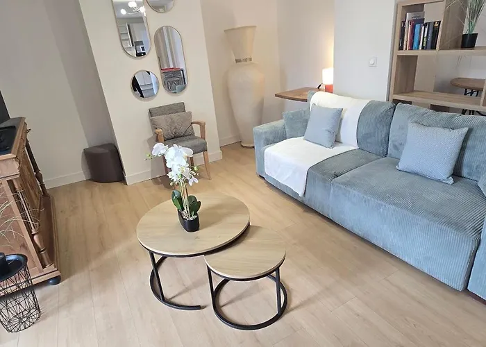 Le Charme Du Sanctuaire 8 Couchages 400m De La Grotte Lourdes