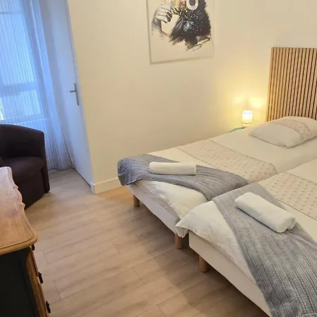 Le Chaleureux Hyper Centre Appartement *